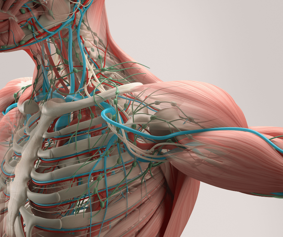 How Can Neuromobilization Help&nbsp;Me?