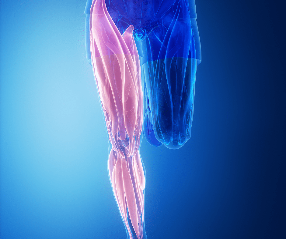 Are Your Stiff Leg Muscles Causing Your Knee&nbsp;Pain?