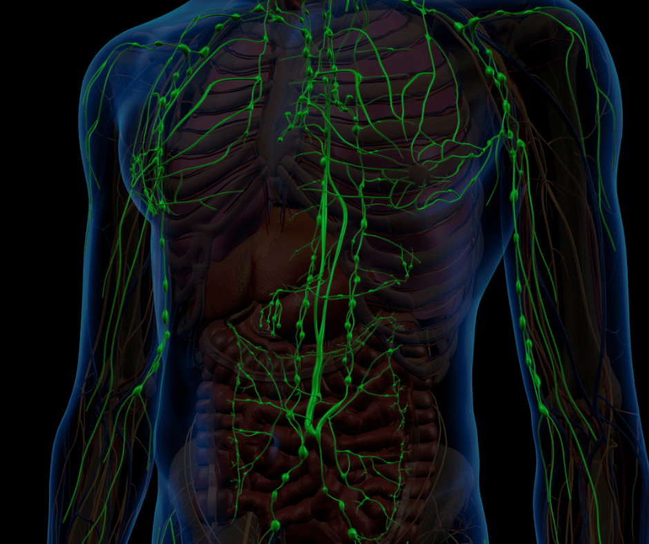 How Lymphedema Is Like A Traffic&nbsp;Jam